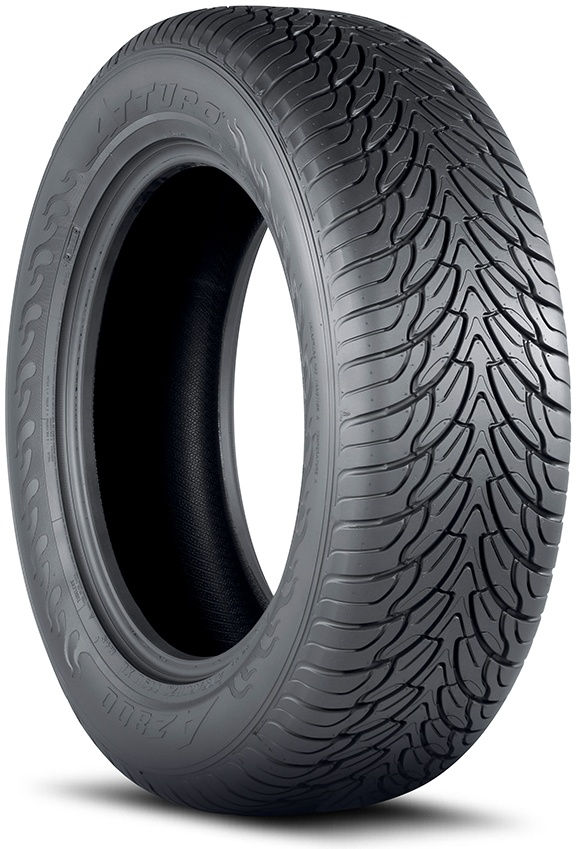 Scheda Variante Pneumatico &rsaquo; Marca: Atturo &rsaquo; Modello: AZ800