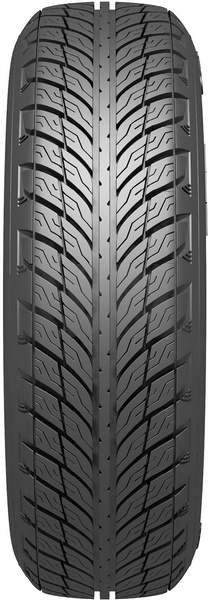 Scheda Variante Pneumatico &rsaquo; Marca: Belshina &rsaquo; Modello: Бел-113