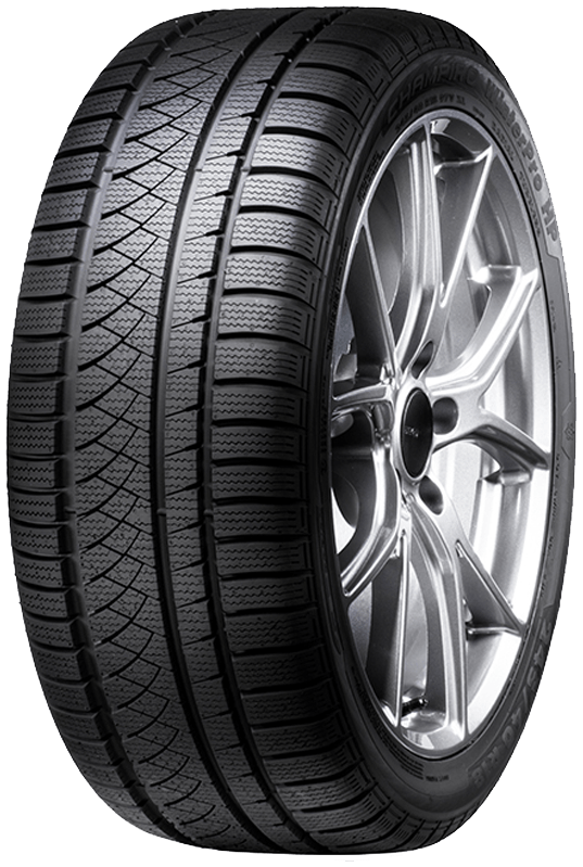 Scheda Variante Pneumatico &rsaquo; Marca: GT Radial &rsaquo; Modello: Champiro WinterPro HP