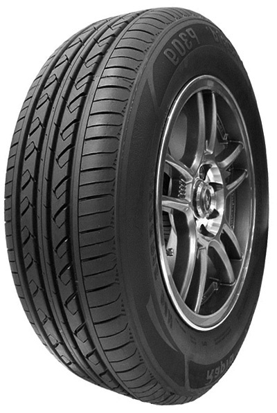 Scheda Variante Pneumatico &rsaquo; Marca: Rapid &rsaquo; Modello: P309